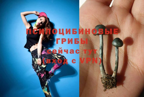 альфа пвп Богородицк
