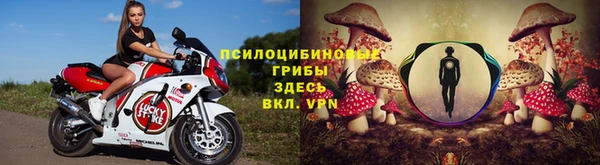альфа пвп Богородицк