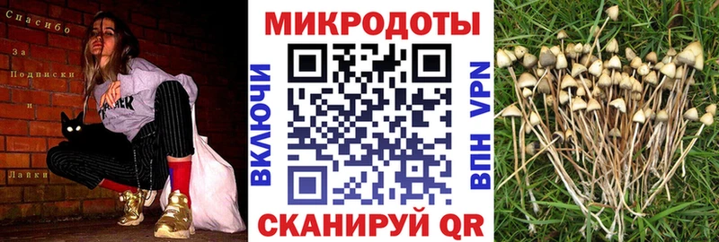 Галлюциногенные грибы MAGIC MUSHROOMS  цены наркотик  hydra ссылка  Дзержинский 
